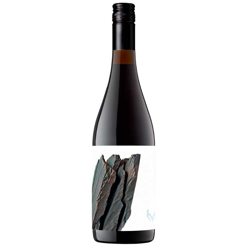 Les Vinyes Forer Massard Humilitat 2022 Les Vinyes Forer Massard Humilitat 2022