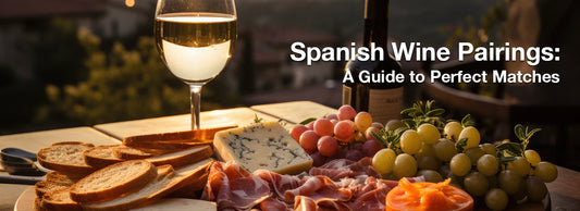Spanish Wine Pairings: A Guide to Perfect Matches
