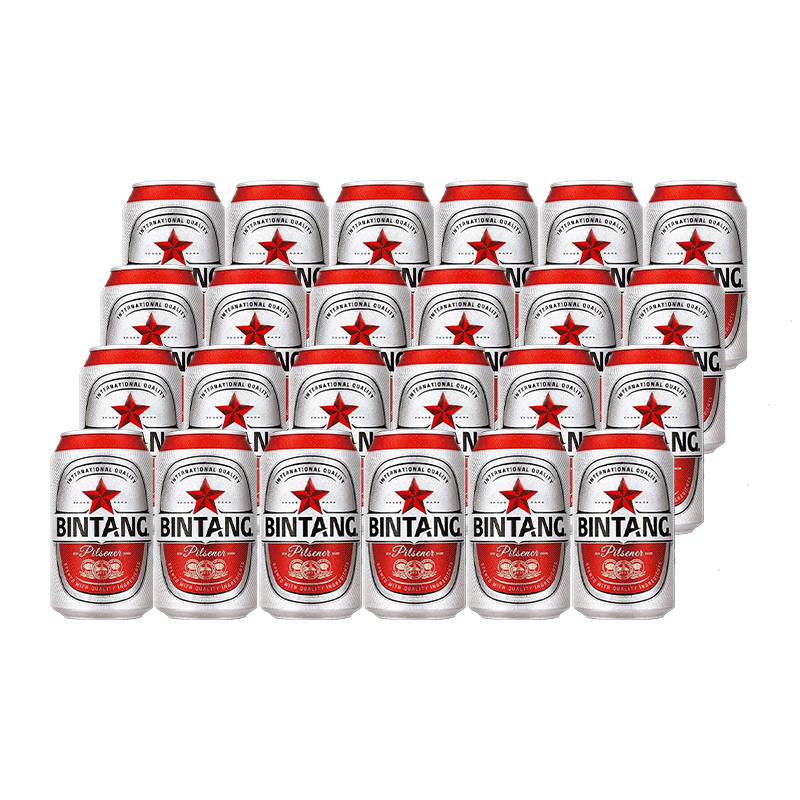 Beer Bintang 320ml 24-Pack
