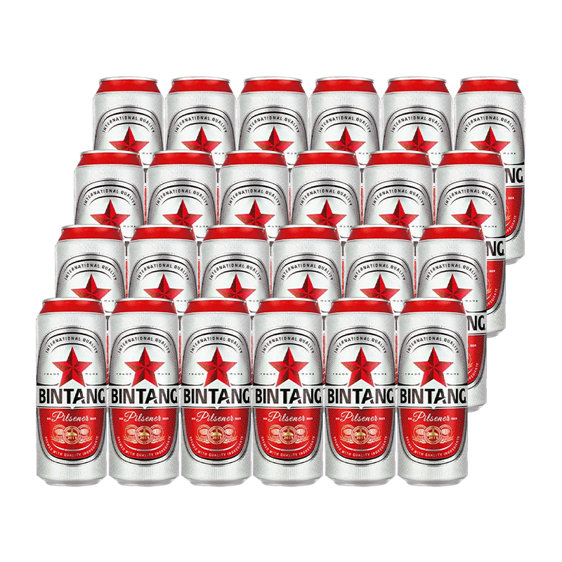 Beer Bintang 490ml 24-Pack