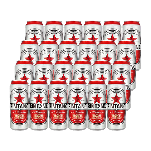 Beer Bintang 490ml 24-Pack