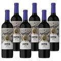 Intis Malbec 6-Pack