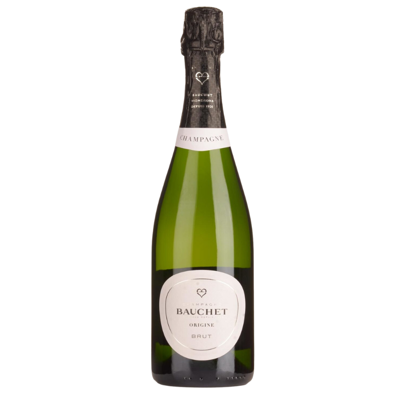 Bauchet Brut Champagne