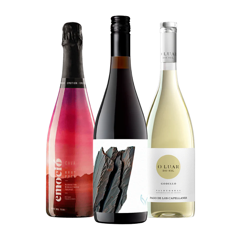 Sommelier Recommendation