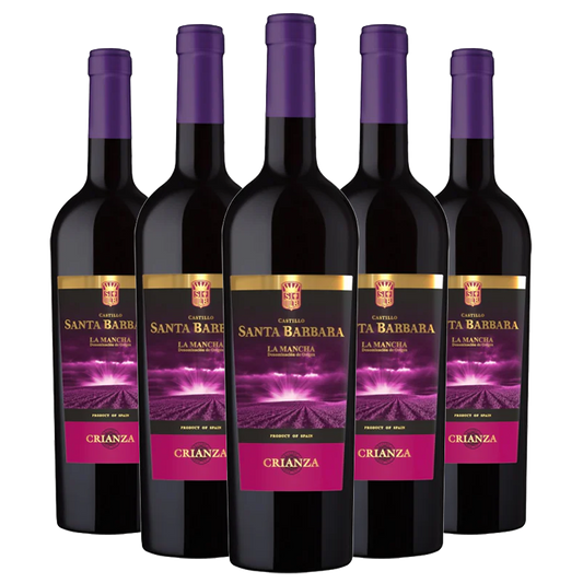 Bundle 5: Castillo Santa Barbara - Crianza