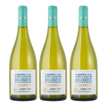 Chilensis – Sauvignon Blanc 3-Pack