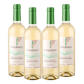 Chilensis Seleccion Especial Sauvignon Blanc 4-pack