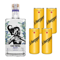 East Indies London Dry Gin + Mixer Schweppes