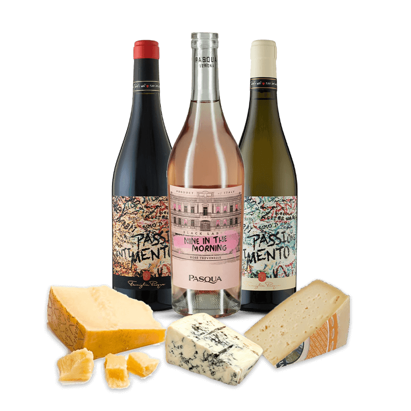 Italian  Wine and Cheese Selection