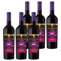 Castillo Santa Barbara Crianza 6-pack