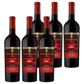 Castillo Santa Barbara Reserva 6-pack