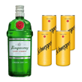 Tanqueray London Dry Gin + Mixer Schweppes