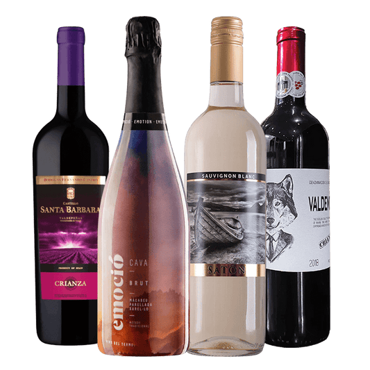 Spanish Wine EXPRESS Set