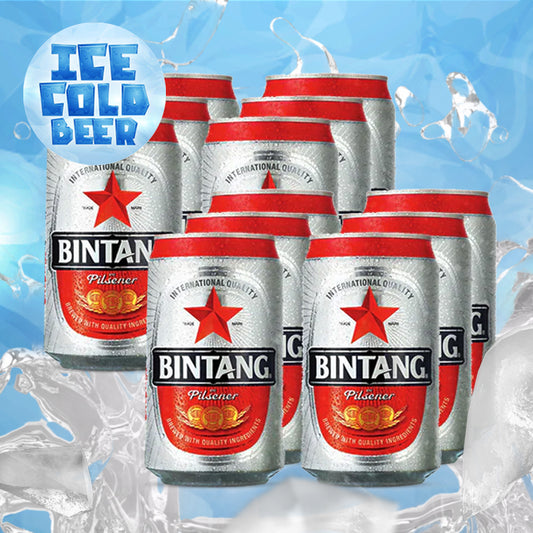 Bundle 12 Beer Bintang can - 320ml