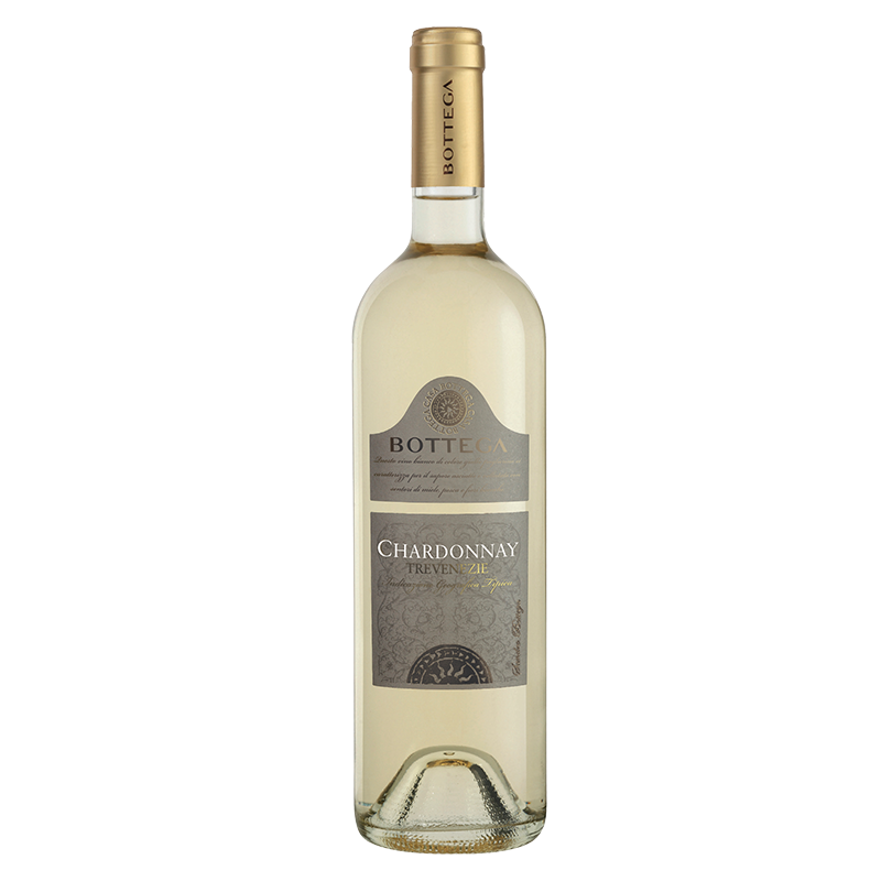 Bottega Trevenezie - Chardonnay